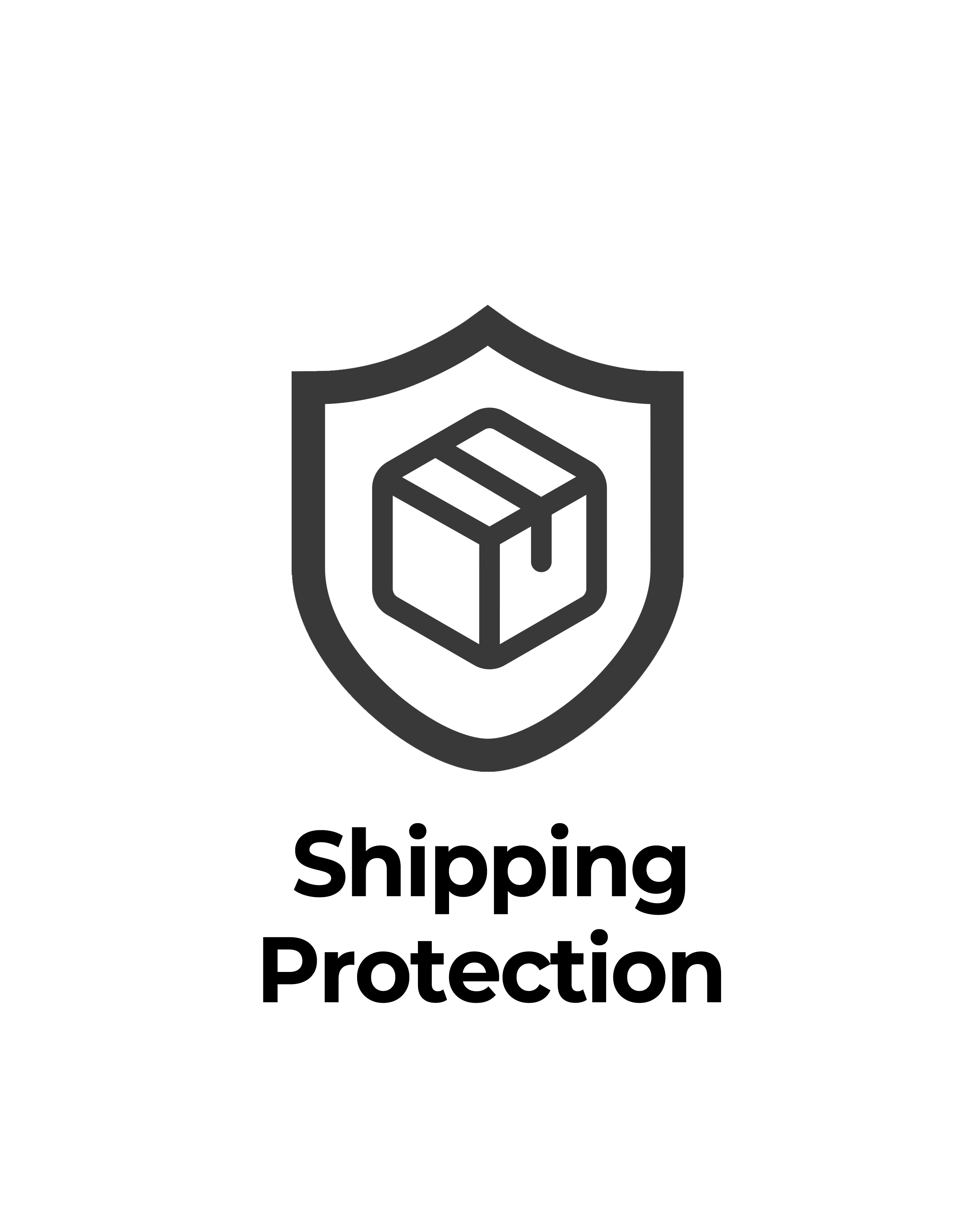 Icon representing Shipping Protection: a package inside a shield, symbolizing protection against damage, loss, and theft.
